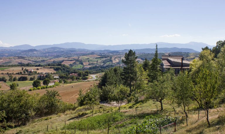 Panorama - Aziena agricola Del Zingaro Campobasso